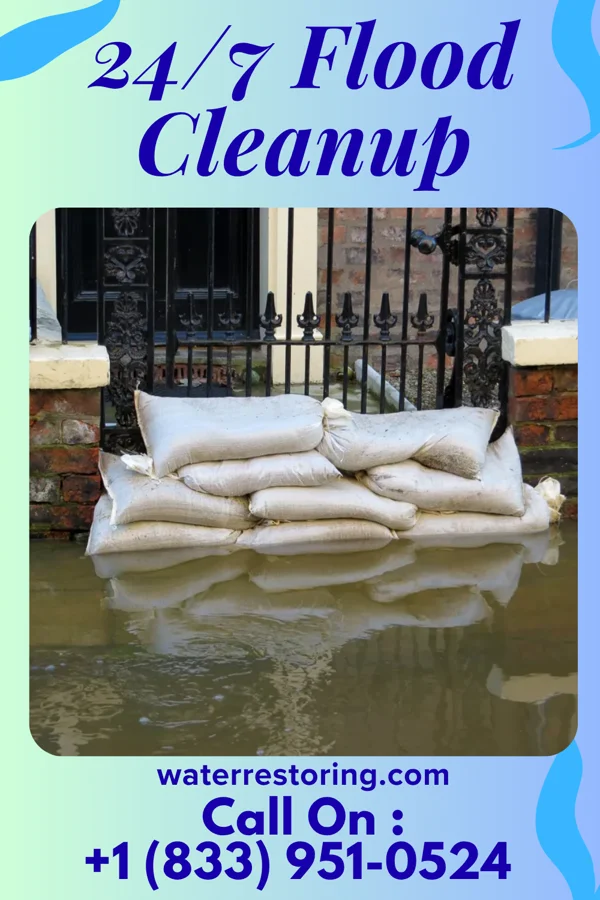 24/7 Flood Cleanup in Ethridge, TN