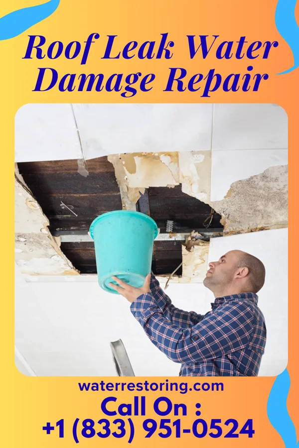 Roof Leak Water Damage Repair in Ethridge, TN