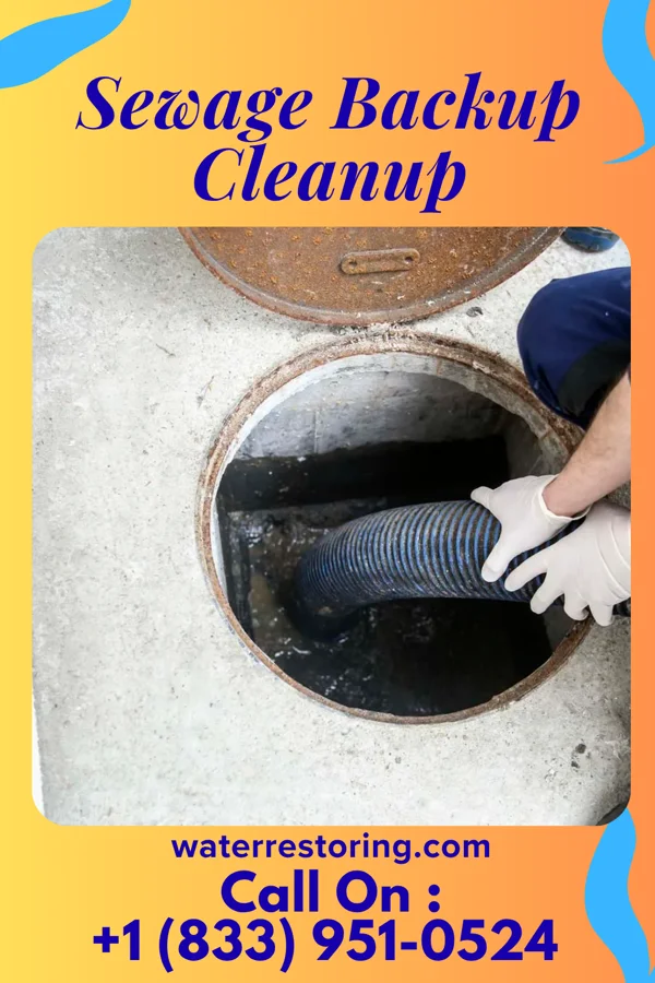 Sewage Backup Cleanup in Ethridge, TN